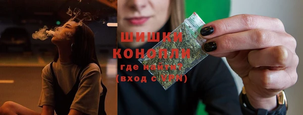 прущие грибы Богданович