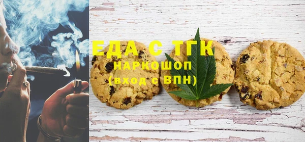гашик Бородино