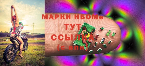 прущие грибы Богданович