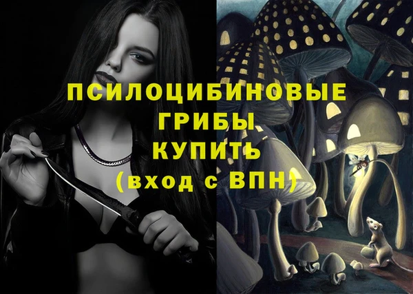 MDMA Богородск