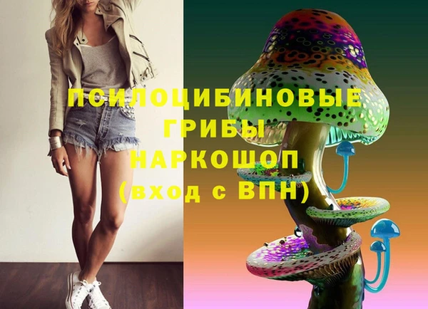 гашик Бородино