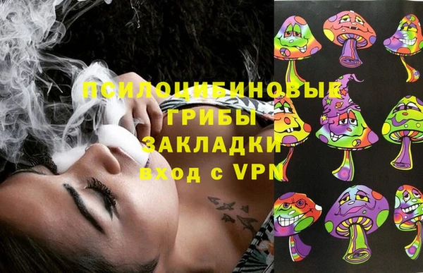 прущие грибы Богданович
