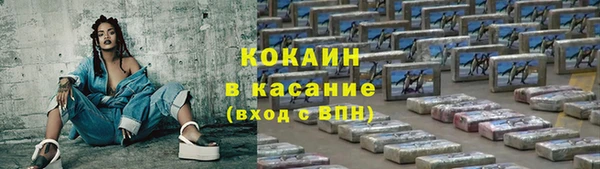 прущие грибы Богданович