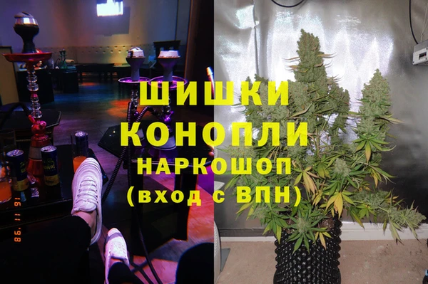 винт Бронницы