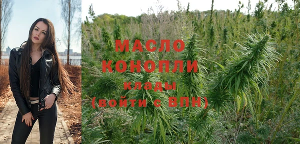 гашик Бородино