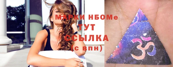 гашик Бородино